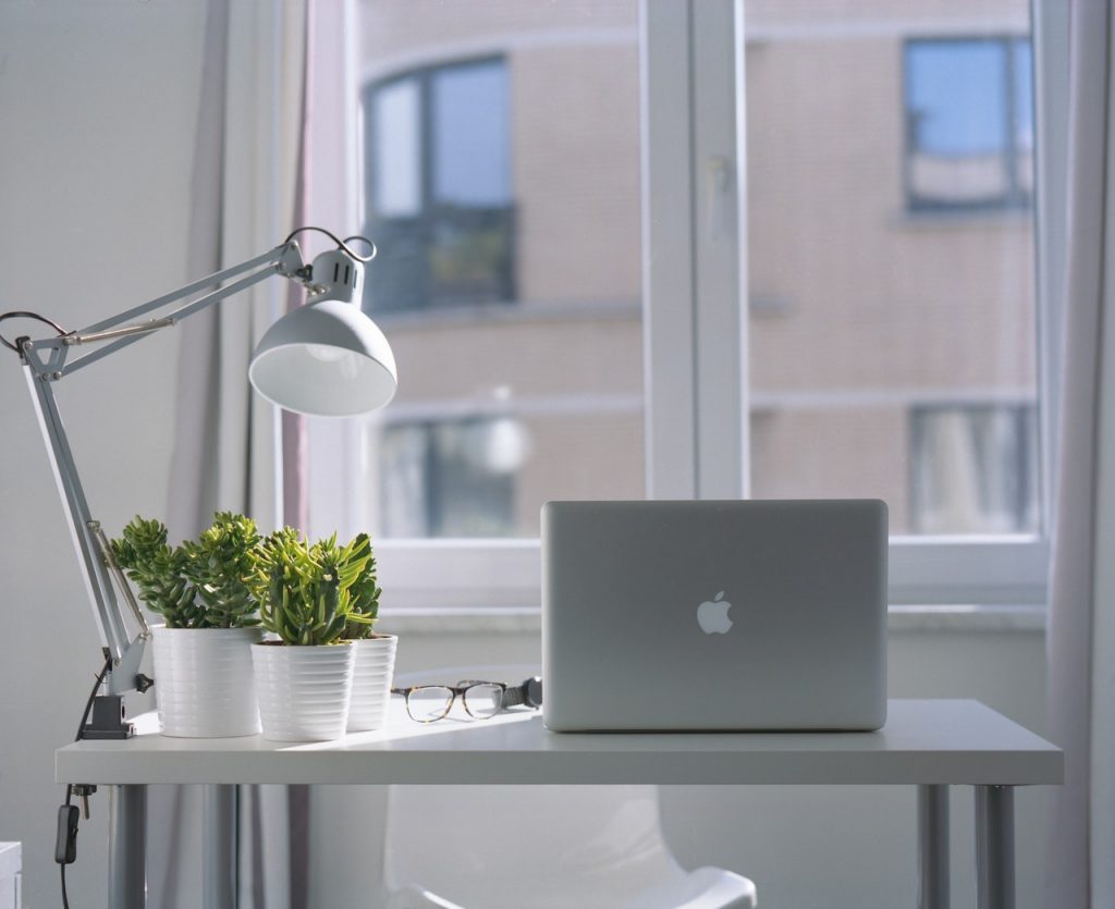 work from home plants