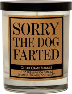 sorry the dog farted candle
