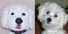Click for zoom