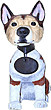 Pets Category